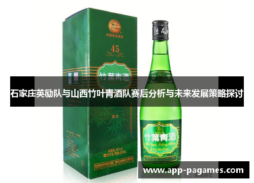 石家庄英励队与山西竹叶青酒队赛后分析与未来发展策略探讨