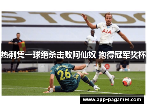 热刺凭一球绝杀击败阿仙奴 抱得冠军奖杯
