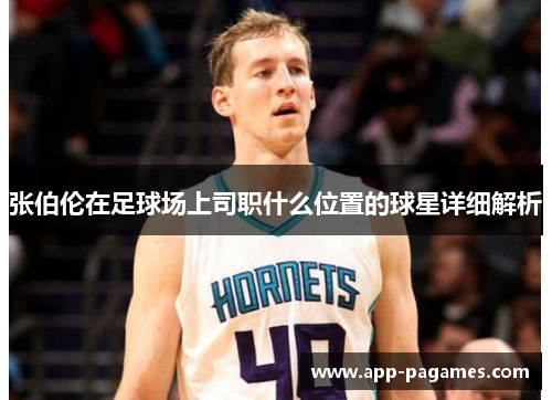 张伯伦在足球场上司职什么位置的球星详细解析