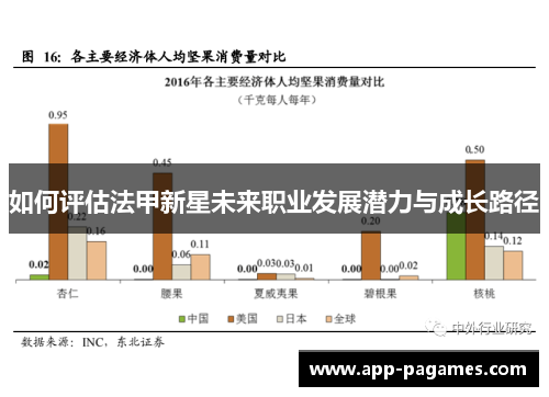 如何评估法甲新星未来职业发展潜力与成长路径